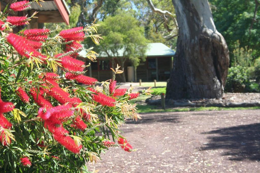 Southern Grampians Cottages Dunkeld Exterior photo